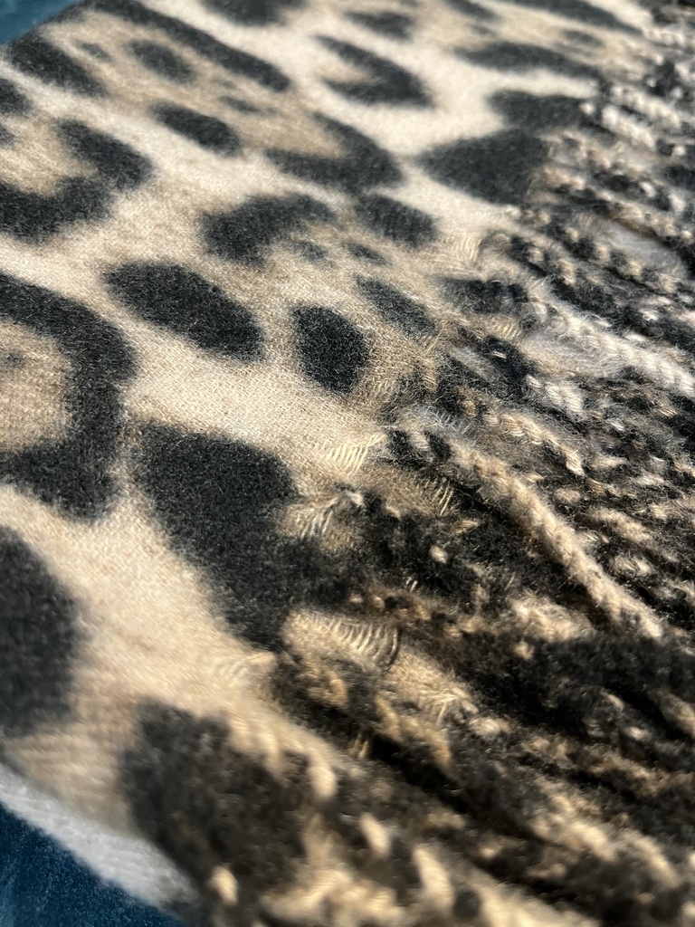 PASHMINA CASHMERE MACULATA